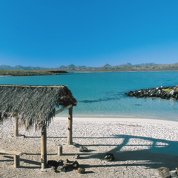 Explora la Isla Catalina